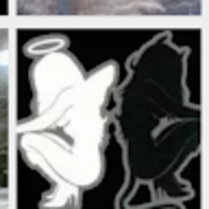 Meet your Posher, Cathy